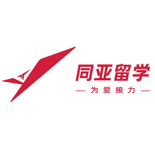 专业赋能，服务首都 北京同亚留学与信息咨询的现代实践